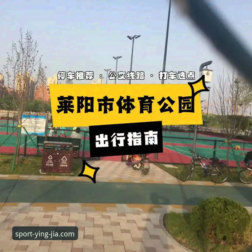 盈嘉体育平台完整使用指南：从官网入口到功能全掌握